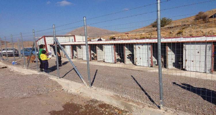 Φιλοζωικό Σωματείο Λήμνου: «Ικανοποιημένο μεν, αλλά…» για το νέο κυνοκομείο Λήμνου (photos)