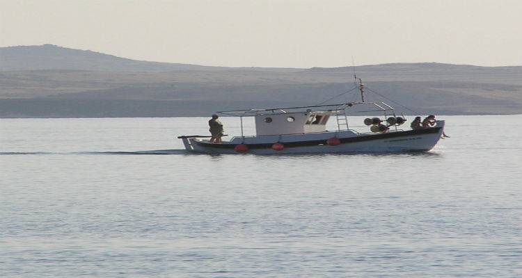 Λήμνος: Παρθένος ψαρότοπος