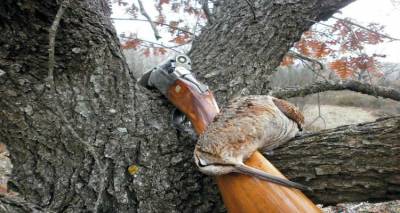 Οι μπεκάτσες του Γενάρη