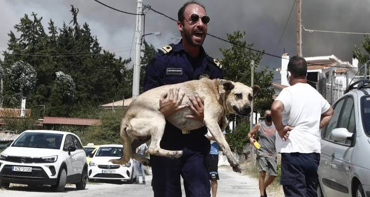 &Delta;&rho;&alpha;&mu;&alpha;&tau;&iota;&kappa;έ&sigmaf; ώ&rho;&epsilon;&sigmaf; &sigma;&tau;&eta;&nu; &Pi;ά&rho;&nu;&eta;&theta;&alpha; &alpha;&pi;ό &tau;&eta; &phi;&omega;&tau;&iota;ά -&Epsilon;&kappa;&kappa;&epsilon;&nu;ώ&theta;&eta;&kappa;&alpha;&nu; &tau;&rho;&epsilon;&iota;&sigmaf; &omicron;&iota;&kappa;&iota;&sigma;&mu;&omicron;ί &kappa;&alpha;&iota; &tau;&omicron; &kappa;έ&nu;&tau;&rho;&omicron; &kappa;&rho;ά&tau;&eta;&sigma;&eta;&sigmaf; &sigma;&tau;&eta;&nu; &Alpha;&mu;&upsilon;&gamma;&delta;&alpha;&lambda;έ&zeta;&alpha;