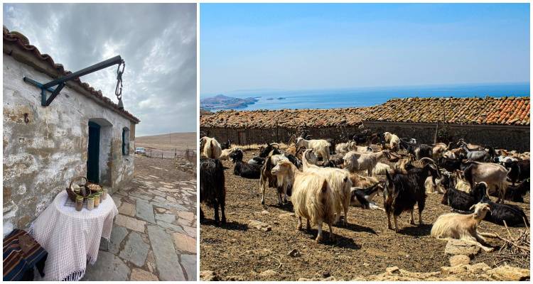 &Eta; &Lambda;&eta;&mu;&nu;&iota;ά &mu;ά&nu;&tau;&rho;&alpha; &mu;&epsilon; &tau;&alpha; &mu;ά&tau;&iota;&alpha; &tau;&omega;&nu; &epsilon;&phi;ή&beta;&omega;&nu; | "&Kappa;&Epsilon;&Rho;&Alpha;&Delta;&Epsilon;&Sigma;, &Mu;&Pi;&Omicron;&Nu;&Tau;&rsquo;&Lambda;&Epsilon;&Sigma; &amp; &Tau;&Sigma;&Alpha;&Gamma;&Iota;&Rho;&Iota;&Alpha;!"