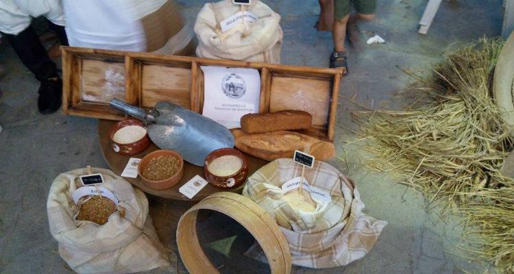 2000 &epsilon;&pi;&iota;&sigma;&kappa;έ&pi;&tau;&epsilon;&sigmaf; &gamma;&epsilon;ύ&tau;&eta;&kappa;&alpha;&nu; &tau;&iota;&sigmaf; &epsilon;&kappa;&lambda;&epsilon;&kappa;&tau;έ&sigmaf; &nu;&omicron;&sigma;&tau;&iota;&mu;&iota;έ&sigmaf; &tau;&eta;&sigmaf; &Lambda;ή&mu;&nu;&omicron;&upsilon;