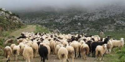 Συμμετοχή της «Ανεμόεσσας» σε Ευρωπαϊκό πρόγραμμα για την κληρονομιά της Αιγοπροβατοτροφίας