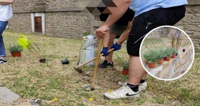 &Mu;&omicron;ύ&delta;&rho;&omicron;&sigmaf;: &Mu;&iota;&alpha; &pi;&rho;ά&sigma;&iota;&nu;&eta; &gamma;&omega;&nu;&iota;ά &sigma;&tau;&omicron; &sigma;&chi;&omicron;&lambda;&epsilon;ί&omicron; | &Mu;&alpha;&theta;&eta;&tau;&iota;&kappa;ή &delta;&rho;ά&sigma;&eta; &gamma;&iota;&alpha; &tau;&iota;&sigmaf; &Beta;&iota;ώ&sigma;&iota;&mu;&epsilon;&sigmaf; &Kappa;&omicron;&iota;&nu;ό&tau;&eta;&tau;&epsilon;&sigmaf;