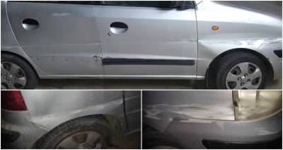 &Mu;ύ&rho;&iota;&nu;&alpha;: &Tau;&omicron;&nu; &tau;&rho;ά&kappa;&alpha;&rho;&alpha;&nu; &kappa;&alpha;&iota; έ&phi;&upsilon;&gamma;&alpha;&nu; (photos)