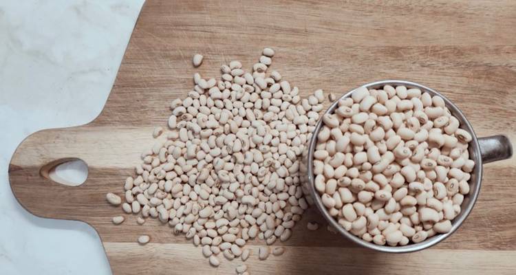 &Tau;&omicron;&pi;&iota;&kappa;έ&sigmaf; &Pi;&omicron;&iota;&kappa;&iota;&lambda;ί&epsilon;&sigmaf;: &Omicron; &kappa;&rho;&upsilon;&mu;&mu;έ&nu;&omicron;&sigmaf; &theta;&eta;&sigma;&alpha;&upsilon;&rho;ό&sigmaf; &tau;&eta;&sigmaf; &Lambda;ή&mu;&nu;&omicron;&upsilon;