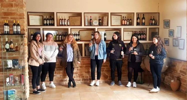 &Epsilon;&kappa;&pi;&alpha;&iota;&delta;&epsilon;&upsilon;&tau;&iota;&kappa;ή &epsilon;&pi;ί&sigma;&kappa;&epsilon;&psi;&eta; &tau;&omicron;&upsilon; &Delta;.&Iota;&Epsilon;&Kappa; &Lambda;ή&mu;&nu;&omicron;&upsilon; &sigma;&tau;&omicron; &Omicron;&iota;&nu;&omicron;&pi;&omicron;&iota;&epsilon;ί&omicron; &Chi;&alpha;&tau;&zeta;&eta;&gamma;&epsilon;&omega;&rho;&gamma;ί&omicron;&upsilon;
