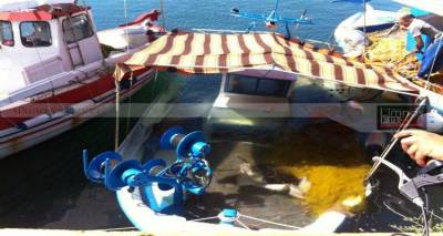 &Beta;&omicron;ύ&lambda;&iota;&alpha;&xi;&epsilon; &beta;ά&rho;&kappa;&alpha; &sigma;&tau;&omicron; &lambda;&iota;&mu;ά&nu;&iota; &tau;&eta;&sigmaf; &Mu;ύ&rho;&iota;&nu;&alpha;&sigmaf; (photos)