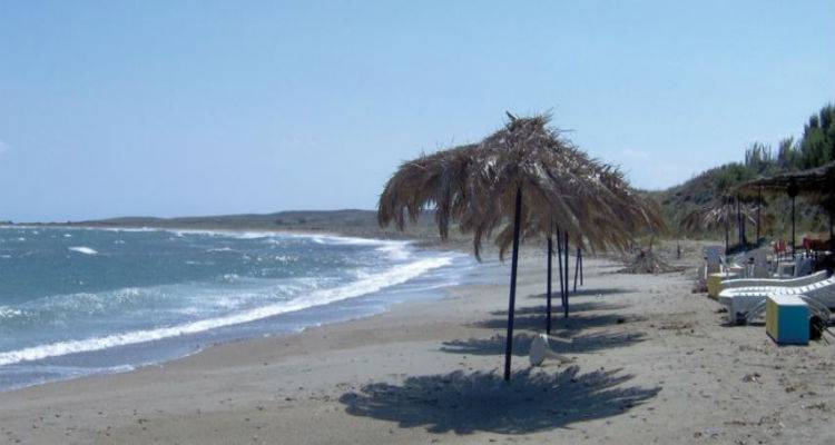 &Omicron;&iota; &epsilon;&kappa;&pi;&rho;ό&sigma;&omega;&pi;&omicron;&iota; &tau;&eta;&sigmaf; WWF &Epsilon;&lambda;&lambda;ά&sigmaf; &mu;&iota;&lambda;&omicron;ύ&nu; &sigma;&tau;&omicron;&nu; Fm 100 &gamma;&iota;&alpha; &tau;&omicron; &Kappa;έ&rho;&omicron;&sigmaf; (mp3)