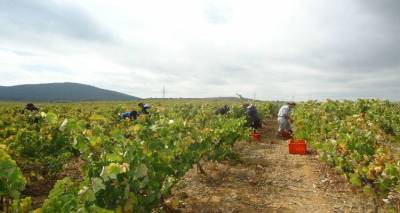 &Alpha;&nu;&alpha;&kappa;&omicron;&iota;&nu;ώ&theta;&eta;&kappa;&alpha;&nu; &tau;&alpha; &mu;έ&tau;&rho;&alpha; &pi;&rho;&omicron;&sigma;&tau;&alpha;&sigma;ί&alpha;&sigmaf; &tau;&omega;&nu; &alpha;&mu;&pi;&epsilon;&lambda;&iota;ώ&nu; &tau;&eta;&sigmaf; &Lambda;ή&mu;&nu;&omicron;&upsilon; &alpha;&pi;ό &tau;&omicron; &Epsilon;&pi;&alpha;&rho;&chi;&epsilon;ί&omicron; &tau;&omicron;&upsilon; &nu;&eta;&sigma;&iota;&omicron;ύ