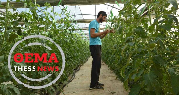 &Tau;&omicron; &pi;&rho;ό&tau;&upsilon;&pi;&omicron; &tau;&omicron;&upsilon; &nu;έ&omicron;&upsilon; &alpha;&gamma;&rho;ό&tau;&eta; &sigma;&tau;&eta; &Lambda;ή&mu;&nu;&omicron; (photos)