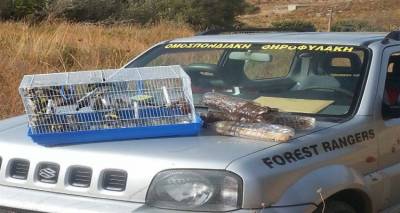 &Pi;&alpha;&rho;ά&nu;&omicron;&mu;&eta; &sigma;ύ&lambda;&lambda;&eta;&psi;&eta; &omega;&delta;&iota;&kappa;ώ&nu; &pi;&tau;&eta;&nu;ώ&nu; &mu;&epsilon; &iota;&xi;&omicron;ύ&sigmaf; &sigma;&tau;&eta; &Lambda;ή&mu;&nu;&omicron; (photos)