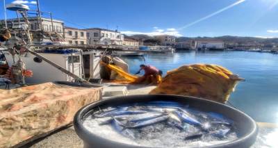 &Lambda;ή&mu;&nu;&omicron;&sigmaf;: &laquo;&Epsilon;&delta;ώ &eta; &phi;&rho;έ&sigma;&kappa;&iota;&alpha; &pi;&alpha;&lambda;&alpha;&mu;ί&delta;&alpha;&raquo;