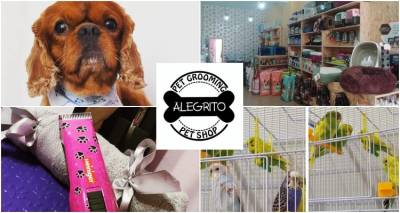 Alegrito Pet Shop &amp; Grooming στη Λήμνο: Τα πάντα για το κατοικίδιό σου στις καλύτερες τιμές!