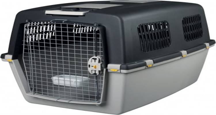 &Mu;&omicron;ύ&delta;&rho;&omicron;&sigmaf;: &Chi;ά&theta;&eta;&kappa;&epsilon; &kappa;&lambda;&omicron;&upsilon;&beta;ί &mu;&epsilon;&tau;&alpha;&phi;&omicron;&rho;ά&sigmaf; &sigma;&kappa;ύ&lambda;&omicron;&upsilon;