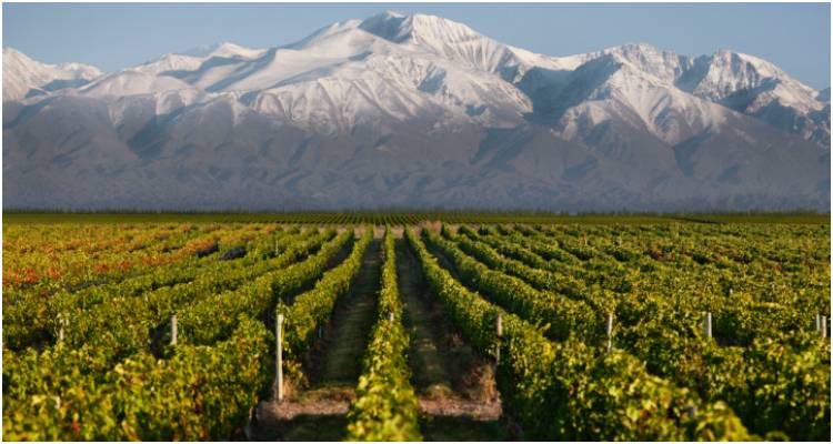 Φωτο: Market Watch