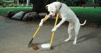 &laquo;&Alpha;&nu;&epsilon;&xi;έ&lambda;&epsilon;&gamma;&kappa;&tau;&eta; &rho;ύ&pi;&alpha;&nu;&sigma;&eta; &tau;&omega;&nu; &kappa;&omicron;&iota;&nu;ό&chi;&rho;&eta;&sigma;&tau;&omega;&nu; &chi;ώ&rho;&omega;&nu; &tau;&omicron;&upsilon; &Delta;ή&mu;&omicron;&upsilon; &Lambda;ή&mu;&nu;&omicron;&upsilon; &alpha;&pi;ό &tau;&alpha; &pi;&epsilon;&rho;&iota;&tau;&tau;ώ&mu;&alpha;&tau;&alpha; &zeta;ώ&omega;&nu;&raquo;