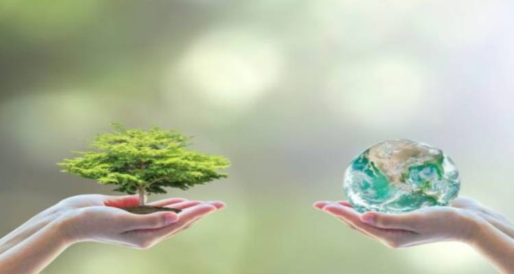 Απλοί τρόποι για να συμβάλετε στην προστασία του περιβάλλοντος