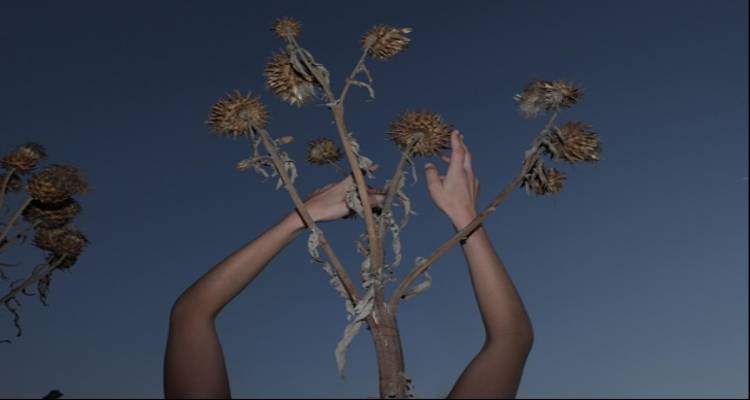 Gallery Poseidon: &Epsilon;&gamma;&kappa;&alpha;ί&nu;&iota;&alpha; &tau;&eta;&sigmaf; &alpha;&tau;&omicron;&mu;&iota;&kappa;ή&sigmaf; έ&kappa;&theta;&epsilon;&sigma;&eta;&sigmaf; &phi;&omega;&tau;&omicron;&gamma;&rho;&alpha;&phi;ί&alpha;&sigmaf; &tau;&eta;&sigmaf; &Mu;&alpha;&rho;ί&alpha;&sigmaf; &Kappa;&omicron;&upsilon;&mu;&iota;&alpha;&nu;&omicron;ύ