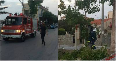 &Lambda;ή&mu;&nu;&omicron;&sigmaf;: &Omicron;&iota; &iota;&sigma;&chi;&upsilon;&rho;&omicron;ί ά&nu;&epsilon;&mu;&omicron;&iota; έ&rho;&iota;&xi;&alpha;&nu; &kappa;&lambda;&alpha;&delta;ί &delta;έ&nu;&tau;&rho;&omicron;&upsilon; &sigma;&epsilon; &kappa;&alpha;&lambda;ώ&delta;&iota;&omicron; &tau;&eta;&sigmaf; &Delta;&Epsilon;&Eta; &sigma;&tau;&eta; &Mu;ύ&rho;&iota;&nu;&alpha; (photos &amp; video)