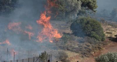 &Phi;&omega;&tau;&iota;ά &sigma;&tau;&omicron;&nu; &Kappa;&omicron;&upsilon;&beta;&alpha;&rho;ά: &Pi;&rho;&omicron;&sigma;&alpha;&gamma;&omega;&gamma;ή &epsilon;&nu;ό&sigmaf; &alpha;&lambda;&lambda;&omicron;&delta;&alpha;&pi;&omicron;ύ - &Sigma;&upsilon;&nu;&epsilon;&chi;ί&zeta;&epsilon;&tau;&alpha;&iota; &eta; &mu;ά&chi;&eta; &mu;&epsilon; &tau;&iota;&sigmaf; &phi;&lambda;ό&gamma;&epsilon;&sigmaf;