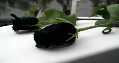 &Sigma;&upsilon;&lambda;&lambda;&upsilon;&pi;&eta;&tau;ή&rho;&iota;&alpha; &alpha;&nu;&alpha;&kappa;&omicron;ί&nu;&omega;&sigma;&eta; &alpha;&pi;ό &tau;&eta;&nu; &Epsilon;&Lambda;&Mu;&Epsilon; &Lambda;ή&mu;&nu;&omicron;&upsilon; &amp; &Alpha;&gamma;ί&omicron;&upsilon; &Epsilon;&upsilon;&sigma;&tau;&rho;&alpha;&tau;ί&omicron;&upsilon;