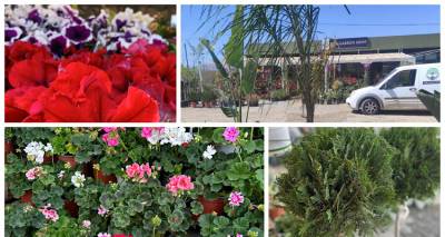 &laquo;&Zeta;&eta;&nu; Garden Shop&rdquo; &sigma;&tau;&omicron; &Mu;&omicron;ύ&delta;&rho;&omicron; | &Epsilon;&kappa;&epsilon;ί &pi;&omicron;&upsilon; &sigma;&upsilon;&nu;&alpha;&nu;&tau;&iota;έ&tau;&alpha;&iota; &eta; &pi;&alpha;&nu;&delta;&alpha;&iota;&sigma;ί&alpha; &chi;&rho;&omega;&mu;ά&tau;&omega;&nu; &kappa;&alpha;&iota; &tau;&omicron; &beta;&alpha;&sigma;ί&lambda;&epsilon;&iota;&omicron; &tau;&eta;&sigmaf; &epsilon;&upsilon;&omega;&delta;&iota;ά&sigmaf;!