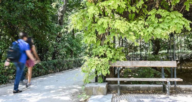 &Epsilon;&pi;ί&delta;&omicron;&mu;&alpha; &alpha;&kappa;&rho;ί&beta;&epsilon;&iota;&alpha;&sigmaf;: &Sigma;&tau;&eta; &Beta;&omicron;&upsilon;&lambda;ή &eta; &tau;&rho;&omicron;&pi;&omicron;&lambda;&omicron;&gamma;ί&alpha; &gamma;&iota;&alpha; &tau;&eta;&nu; &epsilon;&nu;ί&sigma;&chi;&upsilon;&sigma;&eta; &tau;&omega;&nu; 200 &epsilon;&upsilon;&rho;ώ, &Mu;. &Tau;&rho;ί&tau;&eta; &omicron;&iota; &pi;&lambda;&eta;&rho;&omega;&mu;έ&sigmaf; | &Omicron;&iota; &delta;&iota;&kappa;&alpha;&iota;&omicron;ύ&chi;&omicron;&iota;