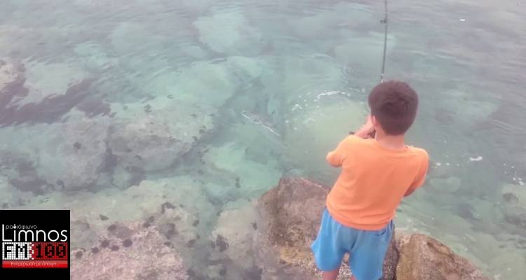 &Mu;ύ&rho;&iota;&nu;&alpha;: &Tau;&rho;&alpha;&upsilon;&mu;&alpha;&tau;&iota;&sigma;&mu;ό&sigmaf; &alpha;&nu;ή&lambda;&iota;&kappa;&omicron;&upsilon; &mu;&epsilon; &alpha;&gamma;&kappa;ί&sigma;&tau;&rho;&iota;