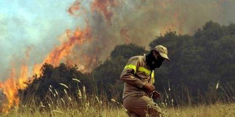 Ρόδος, το μεγαλύτερο θύμα των πυρκαγιών