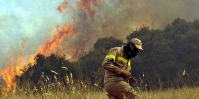 Ρόδος, το μεγαλύτερο θύμα των πυρκαγιών