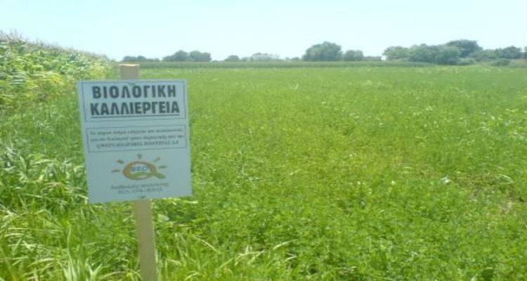 &laquo;&Beta;&iota;&omicron;&lambda;&omicron;&gamma;&iota;&kappa;ή &Gamma;&epsilon;&omega;&rho;&gamma;ί&alpha; &ndash; 2&epsilon;&tau;ί&alpha;&sigmaf;&raquo;: 47.479,11&euro; &sigma;&epsilon; 52 &delta;&iota;&kappa;&alpha;&iota;&omicron;ύ&chi;&omicron;&upsilon;&sigmaf; &tau;&eta;&sigmaf; &Lambda;ή&mu;&nu;&omicron;&upsilon; &kappa;&alpha;&iota; &tau;&eta;&sigmaf; &Lambda;έ&sigma;&beta;&omicron;&upsilon;