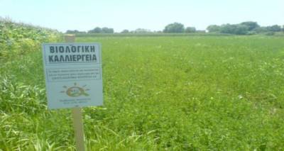 &laquo;&Beta;&iota;&omicron;&lambda;&omicron;&gamma;&iota;&kappa;ή &Gamma;&epsilon;&omega;&rho;&gamma;ί&alpha; &ndash; 2&epsilon;&tau;ί&alpha;&sigmaf;&raquo;: 47.479,11&euro; &sigma;&epsilon; 52 &delta;&iota;&kappa;&alpha;&iota;&omicron;ύ&chi;&omicron;&upsilon;&sigmaf; &tau;&eta;&sigmaf; &Lambda;ή&mu;&nu;&omicron;&upsilon; &kappa;&alpha;&iota; &tau;&eta;&sigmaf; &Lambda;έ&sigma;&beta;&omicron;&upsilon;