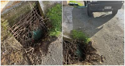 &Kappa;ά&tau;&omicron;&iota;&kappa;&omicron;&sigmaf; &Mu;&omicron;ύ&delta;&rho;&omicron;&upsilon;: &laquo;&Delta;&epsilon;&nu; &theta;έ&lambda;&omega; &nu;&alpha; &zeta;ή&sigma;&omega; &sigma;&omicron;&beta;&alpha;&rho;ό &tau;&rho;&omicron;&chi;&alpha;ί&omicron; έ&xi;&omega; &alpha;&pi;ό &tau;&eta;&nu; &pi;ό&rho;&tau;&alpha; &mu;&omicron;&upsilon;&raquo;