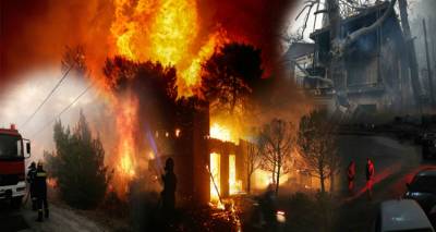 &Lambda;ή&mu;&nu;&omicron;&sigmaf;: &Sigma;&upsilon;&gamma;&kappa;έ&nu;&tau;&rho;&omega;&sigma;&eta; &sigma;&upsilon;&sigma;&kappa;&epsilon;&upsilon;&alpha;&sigma;&mu;έ&nu;&omega;&nu; &tau;&rho;&omicron;&phi;ί&mu;&omega;&nu; &kappa;&alpha;&iota; &epsilon;&iota;&delta;ώ&nu; &alpha;&tau;&omicron;&mu;&iota;&kappa;ή&sigmaf; &phi;&rho;&omicron;&nu;&tau;ί&delta;&alpha;&sigmaf; &kappa;&alpha;&iota; &upsilon;&gamma;&iota;&epsilon;&iota;&nu;ή&sigmaf; &gamma;&iota;&alpha; &tau;&omicron;&upsilon;&sigmaf; &pi;&lambda;&eta;&gamma;έ&nu;&tau;&epsilon;&sigmaf; &alpha;&pi;ό &tau;&eta;&nu; &pi;&upsilon;&rho;&kappa;&alpha;&gamma;&iota;ά &sigma;&tau;&eta;&nu; &Alpha;&tau;&tau;&iota;&kappa;ή