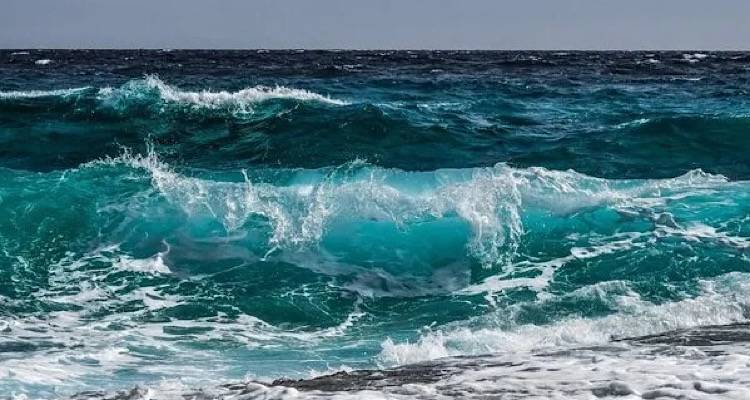 &Alpha;&nu;&alpha;&sigma;&tau;ά&tau;&omega;&sigma;&eta; &sigma;&tau;&eta;&nu; &pi;&alpha;&rho;&alpha;&lambda;ί&alpha; &tau;&omicron;&upsilon; &Pi;&lambda;&alpha;&tau;ύ: 12&chi;&rho;&omicron;&nu;&eta; &pi;&alpha;&rho;&alpha;&sigma;ύ&rho;&theta;&eta;&kappa;&epsilon; &mu;&epsilon; &phi;&omicron;&upsilon;&sigma;&kappa;&omega;&tau;ό &sigma;&tau;&rho;ώ&mu;&alpha; | &Sigma;ώ&theta;&eta;&kappa;&epsilon; &chi;ά&rho;&eta; &sigma;&tau;&eta;&nu; ά&mu;&epsilon;&sigma;&eta; &epsilon;&pi;έ&mu;&beta;&alpha;&sigma;&eta; &lambda;&omicron;&upsilon;ό&mu;&epsilon;&nu;&omega;&nu;