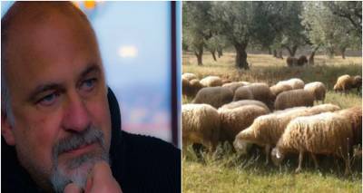 &Omicron; &Delta;&eta;&mu;ή&tau;&rho;&eta;&sigmaf; &Mu;&pi;&omicron;&upsilon;&lambda;ώ&tau;&eta;&sigmaf; &gamma;&iota;&alpha; &tau;&eta;&nu; &pi;&alpha;&rho;&omicron;&upsilon;&sigma;ί&alpha; &Epsilon;&upsilon;&lambda;&omicron;&gamma;&iota;ά&sigmaf; &sigma;&tau;&eta; &Lambda;ή&mu;&nu;&omicron; | &Tau;&iota; &delta;ή&lambda;&omega;&sigma;&epsilon; &gamma;&iota;&alpha; &tau;&eta;&nu; &alpha;&pi;&omicron;&lambda;&upsilon;&mu;&alpha;&nu;&tau;&iota;&kappa;ή &tau;ά&phi;&rho;&omicron; &sigma;&tau;&omicron; &lambda;&iota;&mu;ά&nu;&iota; | &Sigma;&Upsilon;&Nu;&Epsilon;&Nu;&Tau;&Epsilon;&Upsilon;&Xi;&Eta;