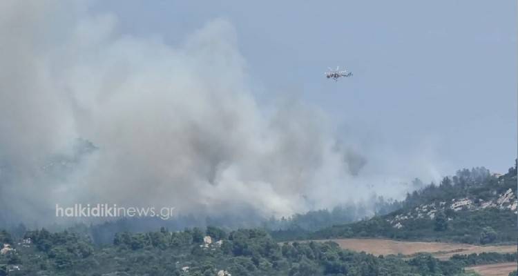 &Upsilon;&pi;ό &mu;&epsilon;&rho;&iota;&kappa;ό έ&lambda;&epsilon;&gamma;&chi;&omicron; &tau;έ&theta;&eta;&kappa;&epsilon; &eta; &phi;&omega;&tau;&iota;ά &sigma;&tau;&omicron; Ά&gamma;&iota;&omicron; Ό&rho;&omicron;&sigmaf;