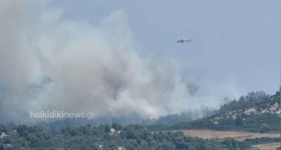 &Upsilon;&pi;ό &mu;&epsilon;&rho;&iota;&kappa;ό έ&lambda;&epsilon;&gamma;&chi;&omicron; &tau;έ&theta;&eta;&kappa;&epsilon; &eta; &phi;&omega;&tau;&iota;ά &sigma;&tau;&omicron; Ά&gamma;&iota;&omicron; Ό&rho;&omicron;&sigmaf;
