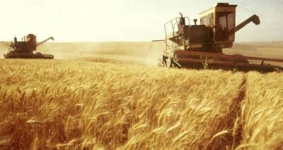 &laquo;Έ&rho;&chi;&epsilon;&tau;&alpha;&iota;&raquo; &sigma;&tau;&eta;&nu; &Alpha;&tau;&sigma;&iota;&kappa;ή &eta; &Gamma;&iota;&omicron;&rho;&tau;ή &tau;&omicron;&upsilon; &Alpha;&gamma;&rho;ό&tau;&eta;