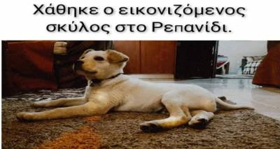 &Chi;ά&theta;&eta;&kappa;&epsilon; &sigma;&kappa;&upsilon;&lambda;ά&kappa;&iota; &sigma;&tau;&omicron; &Rho;&epsilon;&pi;&alpha;&nu;ί&delta;&iota;