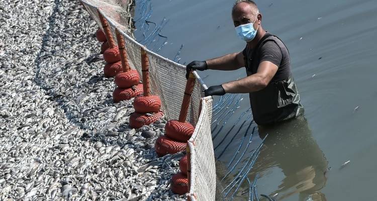 &Beta;ό&lambda;&omicron;&sigmaf;: &Alpha;&pi;&alpha;&gamma;&omicron;&rho;&epsilon;ύ&epsilon;&tau;&alpha;&iota; &tau;&omicron; &mu;&pi;ά&nu;&iota;&omicron; &sigma;&epsilon; &delta;&epsilon;&kappa;ά&delta;&epsilon;&sigmaf; &pi;&alpha;&rho;&alpha;&lambda;ί&epsilon;&sigmaf; &epsilon;&xi;&alpha;&iota;&tau;ί&alpha;&sigmaf; &tau;&omega;&nu; &nu;&epsilon;&kappa;&rho;ώ&nu; &psi;&alpha;&rho;&iota;ώ&nu; | &Delta;&epsilon;ί&tau;&epsilon; &tau;&iota;&sigmaf; &pi;&epsilon;&rho;&iota;&omicron;&chi;έ&sigmaf;