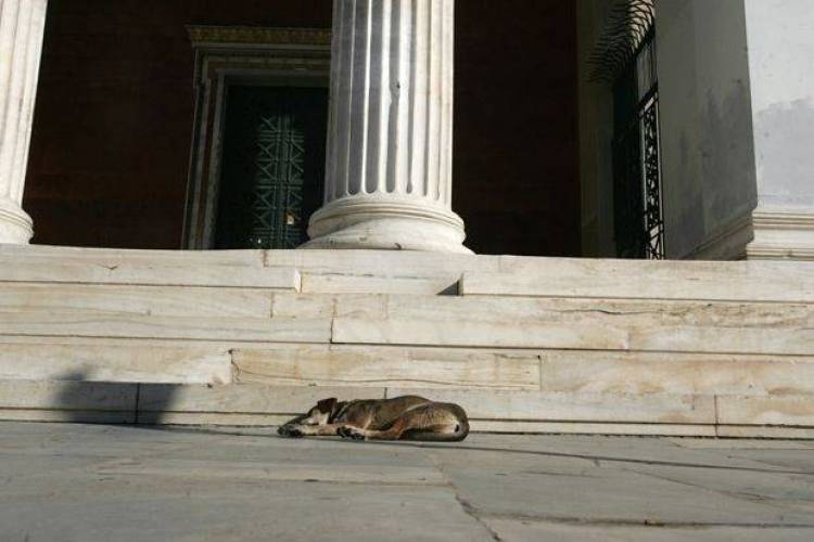 &Pi;&alpha;&nu;&epsilon;&pi;&iota;&sigma;&tau;ή&mu;&iota;&omicron; ή &gamma;&eta;&rho;&omicron;&kappa;&omicron;&mu;&epsilon;ί&omicron;;