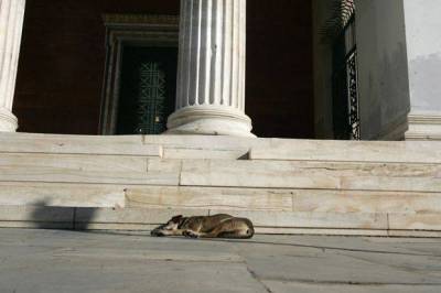 &Pi;&alpha;&nu;&epsilon;&pi;&iota;&sigma;&tau;ή&mu;&iota;&omicron; ή &gamma;&eta;&rho;&omicron;&kappa;&omicron;&mu;&epsilon;ί&omicron;;