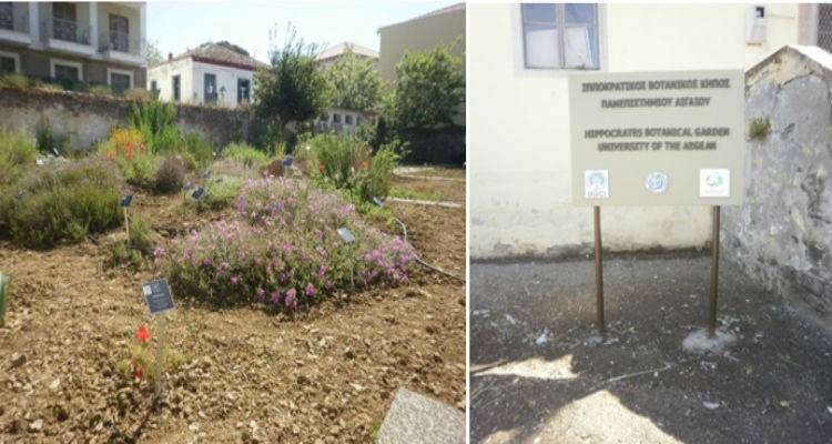 Ανοίξε τις πύλες του για το κοινό της Λήμνου ο Βοτανικός Κήπος | 160 φυτά περιμένουν να τα γνωρίσετε