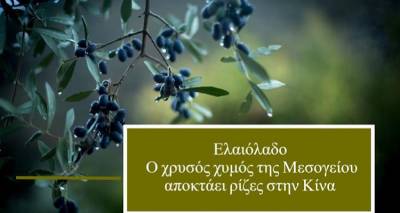 Ελαιόλαδο: Ο χρυσός χυμός της Μεσογείου αποκτάει ρίζες στην Κίνα