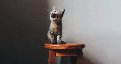 Πώς διαχειρίζεται κανείς τη μόνιμη γκρίνια;