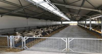 &ldquo;&Chi;έ&rho;&iota;&rdquo; &sigma;&epsilon; &kappa;&tau;&eta;&nu;&omicron;&tau;&rho;&omicron;&phi;&iota;&kappa;ή &mu;&omicron;&nu;ά&delta;&alpha; &tau;&eta;&sigmaf; &Lambda;ή&mu;&nu;&omicron;&upsilon; | 5.000&euro; &upsilon;&pi;&omicron;&lambda;&omicron;&gamma;ί&zeta;&epsilon;&tau;&alpha;&iota; &eta; &zeta;&eta;&mu;&iota;ά