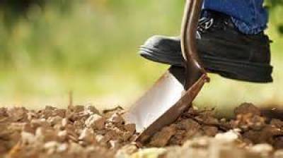 &laquo;&Delta;&epsilon; &phi;&upsilon;&tau;&rho;ώ&nu;&epsilon;&iota; &tau;ί&pi;&omicron;&tau;&iota;&sigmaf; &epsilon;&pi;&alpha;έ&raquo;