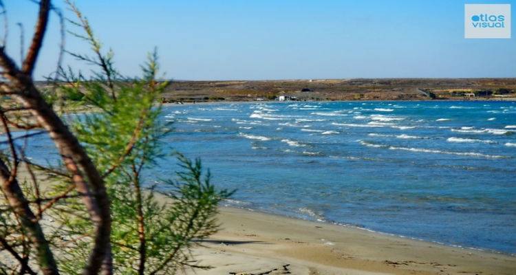 &Epsilon;&theta;&epsilon;&lambda;&omicron;&nu;&tau;&iota;&kappa;ό&sigmaf; &kappa;&alpha;&theta;&alpha;&rho;&iota;&sigma;&mu;ό&sigmaf; &tau;&eta;&sigmaf; &pi;&alpha;&rho;&alpha;&lambda;ί&alpha;&sigmaf; &tau;&omicron;&upsilon; &Kappa;ό&tau;&sigma;&iota;&nu;&alpha; &alpha;&pi;ό &tau;&omicron;&nu; &Pi;&omicron;&lambda;&iota;&tau;&iota;&sigma;&tau;&iota;&kappa;ό &Alpha;&theta;&lambda;&eta;&tau;&iota;&kappa;ό Ό&mu;&iota;&lambda;&omicron; &Rho;&epsilon;&pi;&alpha;&nu;&iota;&delta;ί&omicron;&upsilon;